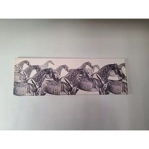Race Horse Anatomy Collage - Canvas Print